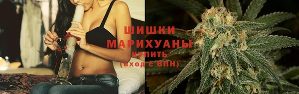 дживик Магас