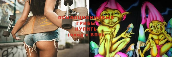 дживик Магас