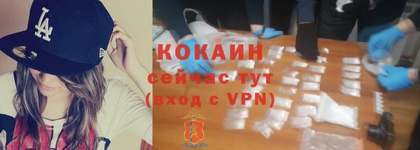 дживик Магас