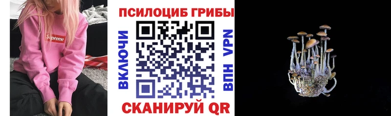 Галлюциногенные грибы Magic Shrooms  где продают   Духовщина 