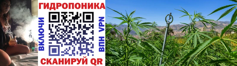 закладки сайты даркнета официальный сайт Марихуана планчик Духовщина